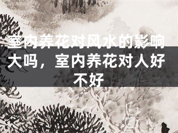 室内养花对风水的影响大吗，室内养花对人好不好