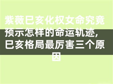 紫薇巳亥化权女命究竟预示怎样的命运轨迹,巳亥格局最厉害三个原因