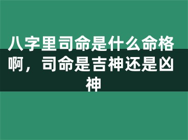 八字里司命是什么命格啊，司命是吉神还是凶神