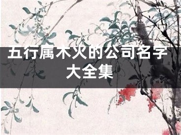 五行属木火的公司名字大全集