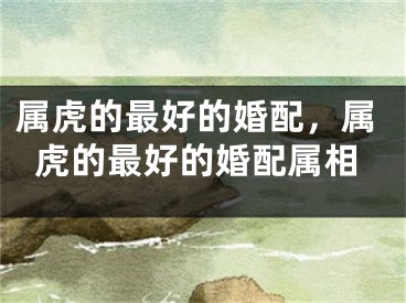 属虎的最好的婚配，属虎的最好的婚配属相