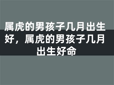 属虎的男孩子几月出生好，属虎的男孩子几月出生好命
