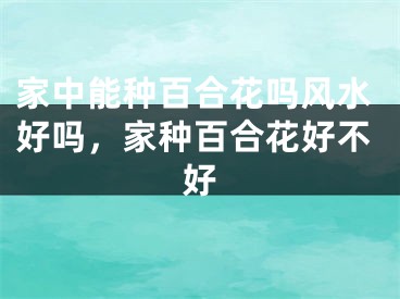 家中能种百合花吗风水好吗，家种百合花好不好
