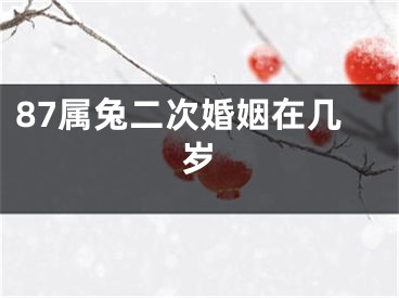 87属兔二次婚姻在几岁