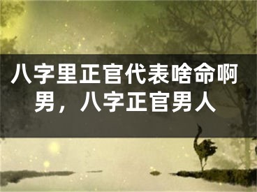 八字里正官代表啥命啊男，八字正官男人