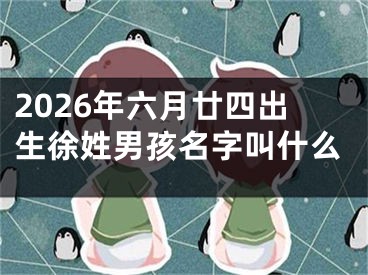 2026年六月廿四出生徐姓男孩名字叫什么