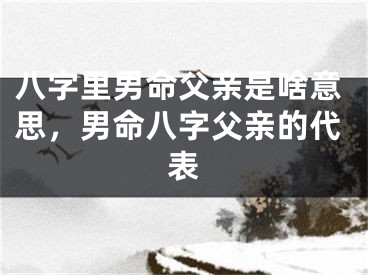 八字里男命父亲是啥意思，男命八字父亲的代表