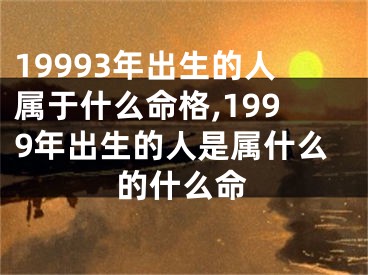 19993年出生的人属于什么命格,1999年出生的人是属什么的什么命