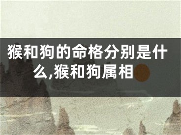 猴和狗的命格分别是什么,猴和狗属相