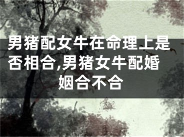 男猪配女牛在命理上是否相合,男猪女牛配婚姻合不合
