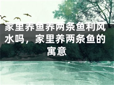 家里养鱼养两条鱼利风水吗，家里养两条鱼的寓意