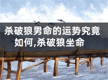 杀破狼男命的运势究竟如何,杀破狼坐命
