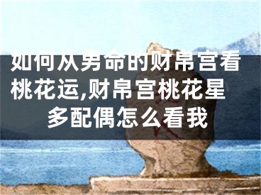 如何从男命的财帛宫看桃花运,财帛宫桃花星多配偶怎么看我