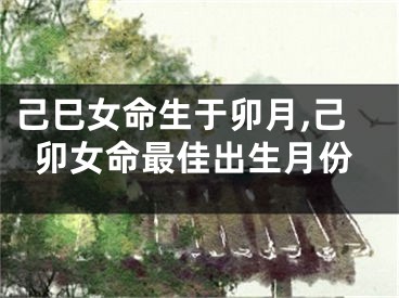 己巳女命生于卯月,己卯女命最佳出生月份
