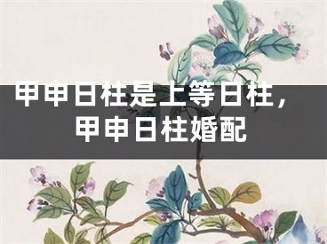 甲申日柱是上等日柱，甲申日柱婚配