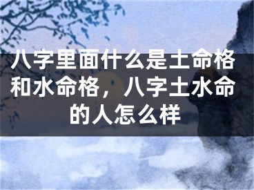 八字里面什么是土命格和水命格，八字土水命的人怎么样