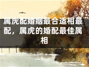 属虎配婚姻最合适相最配，属虎的婚配最佳属相