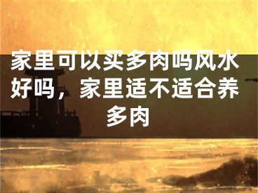 家里可以买多肉吗风水好吗，家里适不适合养多肉