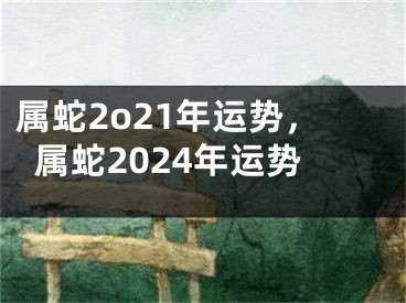 属蛇2o21年运势,属蛇2024年运势