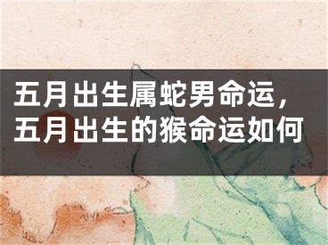五月出生属蛇男命运，五月出生的猴命运如何