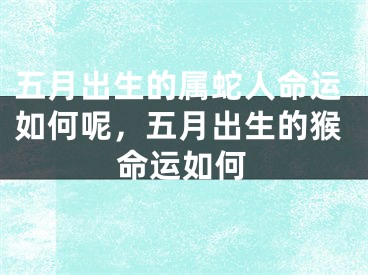 五月出生的属蛇人命运如何呢，五月出生的猴命运如何