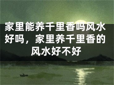 家里能养千里香吗风水好吗，家里养千里香的风水好不好