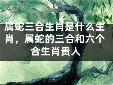 属蛇三合生肖是什么生肖，属蛇的三合和六个合生肖贵人