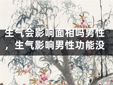生气会影响面相吗男性，生气影响男性功能没