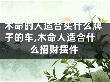 木命的人适合买什么牌子的车,木命人适合什么招财摆件