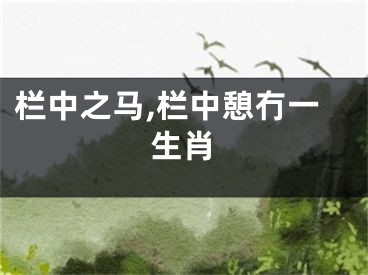 栏中之马,栏中憩冇一生肖