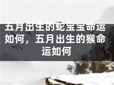 五月出生的蛇宝宝命运如何，五月出生的猴命运如何