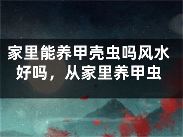 家里能养甲壳虫吗风水好吗，从家里养甲虫