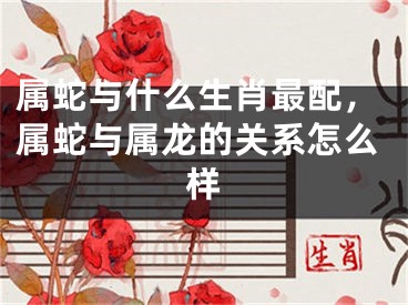 属蛇与什么生肖最配，属蛇与属龙的关系怎么样