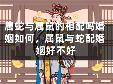 属蛇与属鼠的相配吗婚姻如何，属鼠与蛇配婚姻好不好