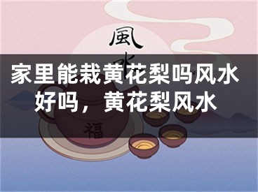 家里能栽黄花梨吗风水好吗，黄花梨风水