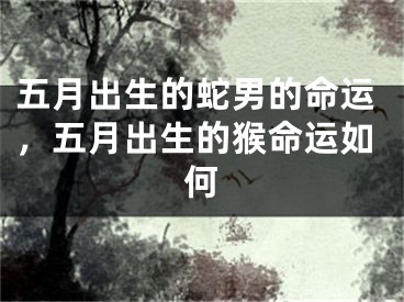 五月出生的蛇男的命运，五月出生的猴命运如何