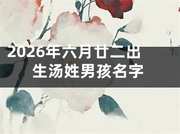 2026年六月廿二出生汤姓男孩名字