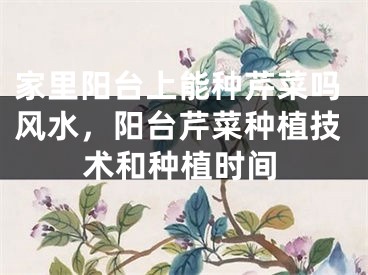 家里阳台上能种芹菜吗风水，阳台芹菜种植技术和种植时间