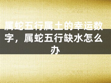 属蛇五行属土的幸运数字,属蛇五行缺水怎么办