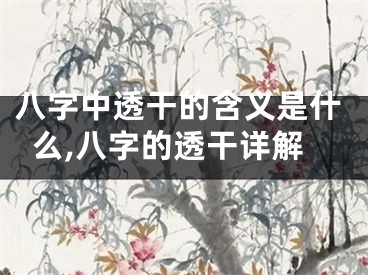 八字中透干的含义是什么,八字的透干详解