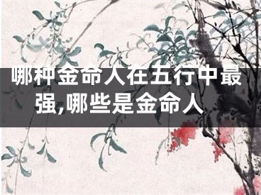 哪种金命人在五行中最强,哪些是金命人