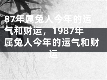 87年属兔人今年的运气和财运，1987年属兔人今年的运气和财运