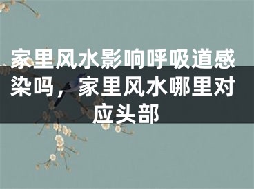 家里风水影响呼吸道感染吗，家里风水哪里对应头部