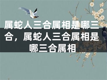 属蛇人三合属相是哪三合，属蛇人三合属相是哪三合属相