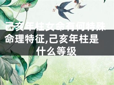 己亥年柱女命有何特殊命理特征,己亥年柱是什么等级