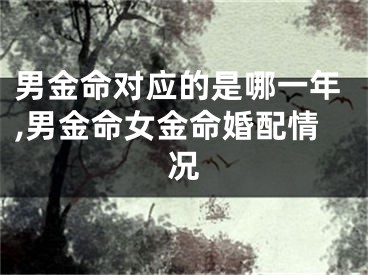 男金命对应的是哪一年,男金命女金命婚配情况
