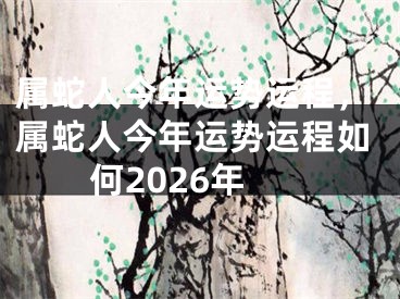 属蛇人今年运势运程，属蛇人今年运势运程如何2026年