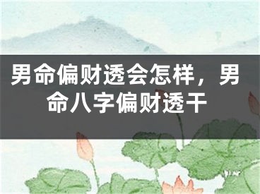 男命偏财透会怎样，男命八字偏财透干