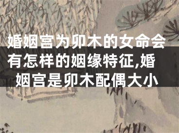 婚姻宫为卯木的女命会有怎样的姻缘特征,婚姻宫是卯木配偶大小