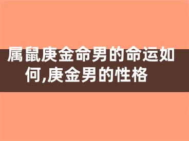 属鼠庚金命男的命运如何,庚金男的性格